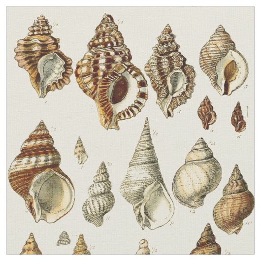  Seashell Illustraties Pattern Stof (Close Up)