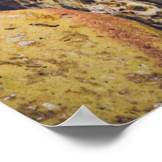 Seashell in de Seashore Poster (Hoek)