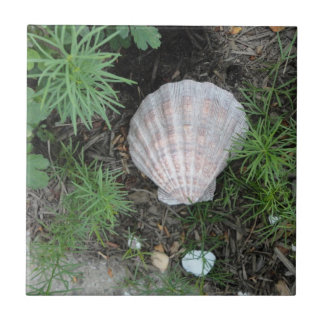 Seashell in de tuin tegeltje