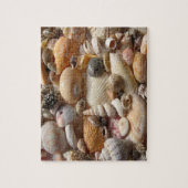 Seashell Jigzaag Puzzle Legpuzzel (Verticaal)