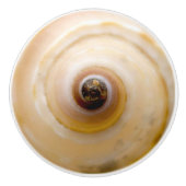 Seashell Keramische Knop (Voorkant)