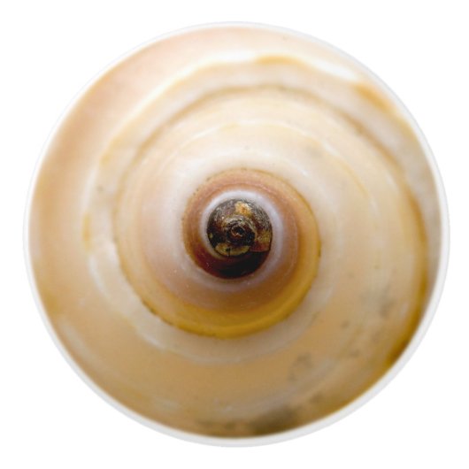 Seashell Keramische Knop (Voorkant)