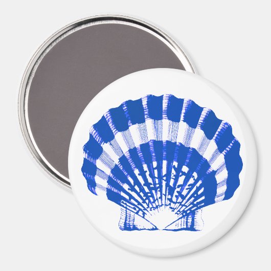 Seashell - kobalt blauw en wit magneet (Voorkant / Achterkant)