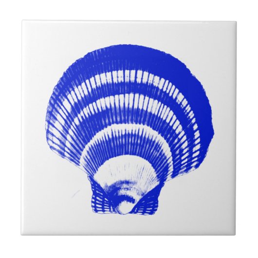 Seashell - kobalt blauw en wit tegeltje (Voorkant)