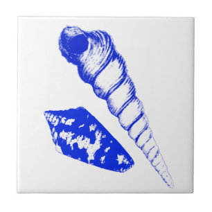 Seashell - kobalt blauw en wit tegeltje