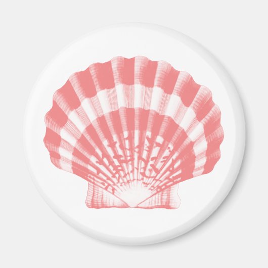 Seashell - koraalroze en wit magneet (Voorkant)
