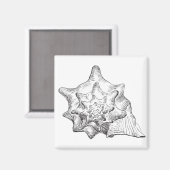 Seashell Magneet (Voorkant / Achterkant)