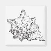 Seashell Magneet (Voorkant)