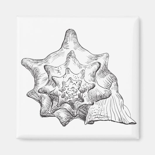 Seashell Magneet (Voorkant)