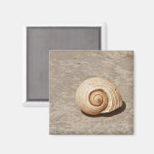 SeaShell Magneet (Voorkant / Achterkant)