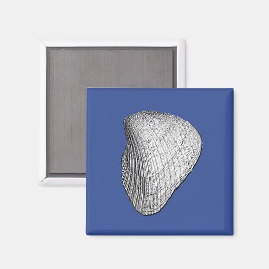 Seashell Magnet (Voorkant / Achterkant)