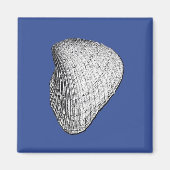 Seashell Magnet (Voorkant)