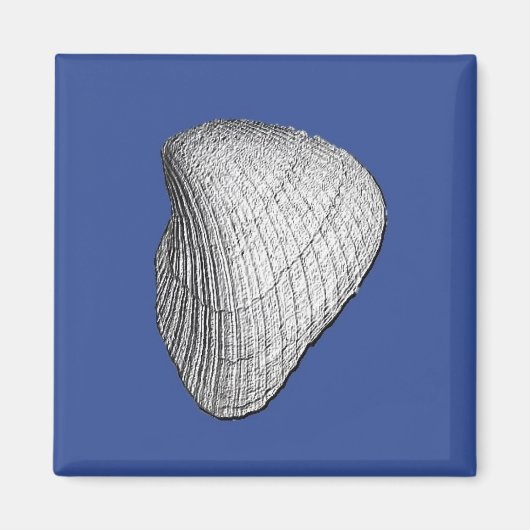 Seashell Magnet (Voorkant)
