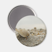 Seashell Magnet (Voorkant / Achterkant)