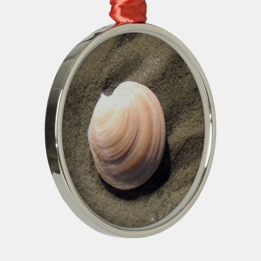 Seashell Metalen Ornament (Rechts)