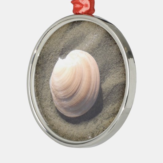 Seashell Metalen Ornament (Links)