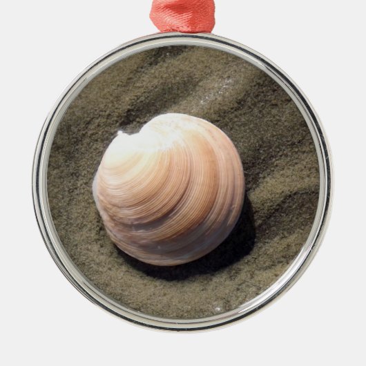 Seashell Metalen Ornament (Voorkant)