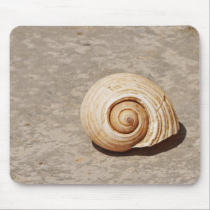 SeaShell Muismat