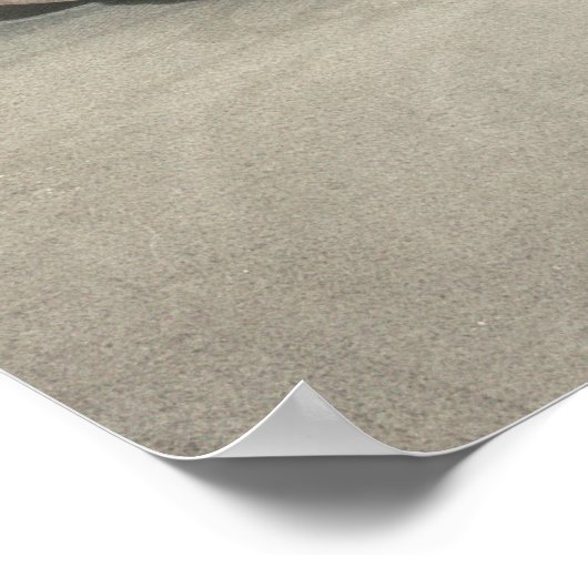 Seashell n.O.3 Poster (Hoek)