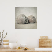 Seashell n.O.3 Poster (Keuken)