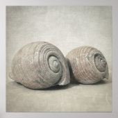 Seashell n.O.3 Poster (Voorkant)