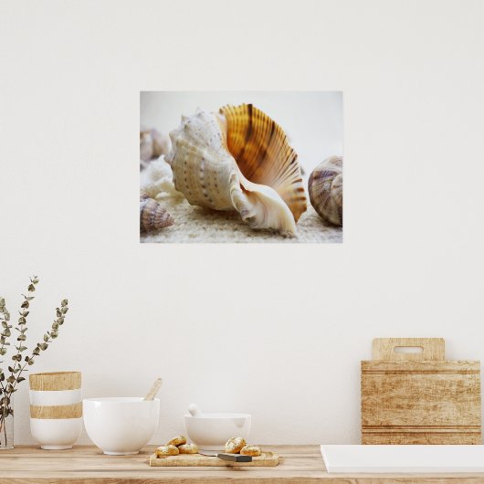 Seashell, Nautical, Beach, Summer, Custom Poster (Keuken)
