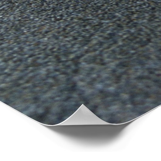 Seashell, Nieuw-Zeeland Poster (Hoek)