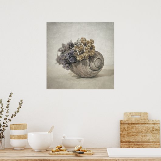Seashell nO.2 Poster (Keuken)