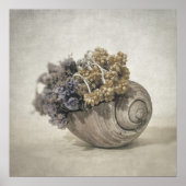Seashell nO.2 Poster (Voorkant)