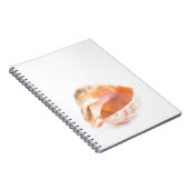 Seashell Notitieboek (Rechterzijde)