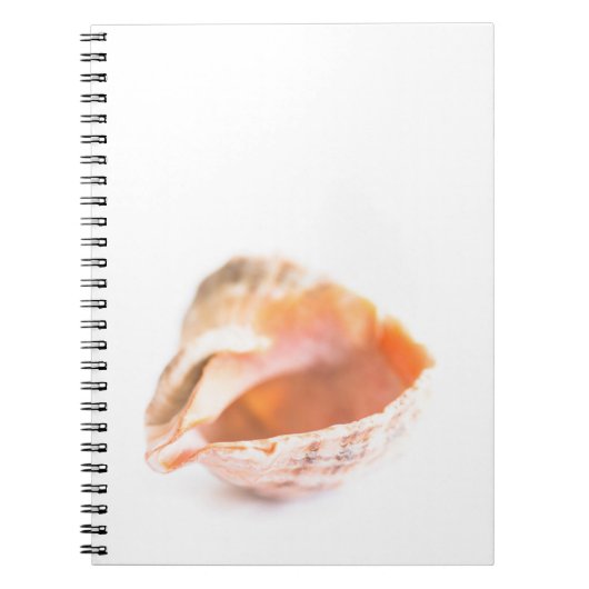 Seashell Notitieboek (Voorkant)