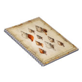 Seashell of the Deep Notitieboek (Rechterzijde)