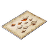 Seashell of the Deep Notitieboek (Linkerzijde)
