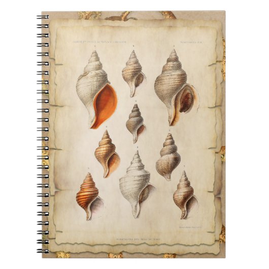 Seashell of the Deep Notitieboek (Voorkant)