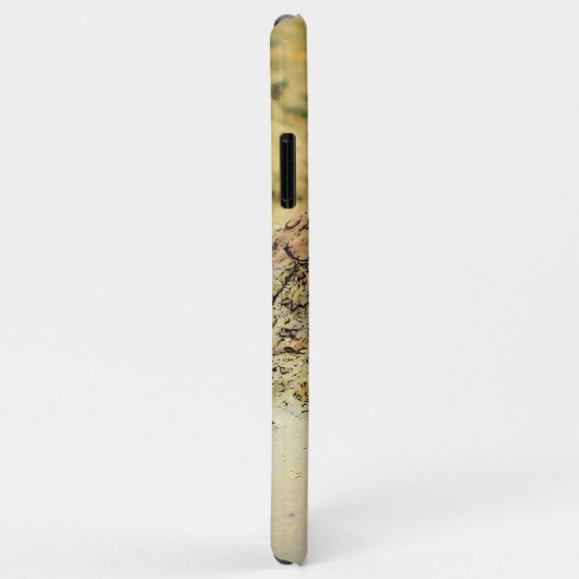 Seashell op Driftwood Case-Mate iPhone Case (Achterkant/rechts)