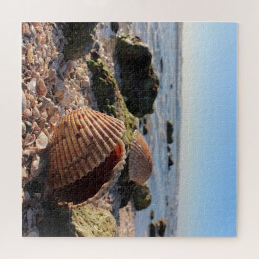 Seashell op het strand legpuzzel (Horizontaal)