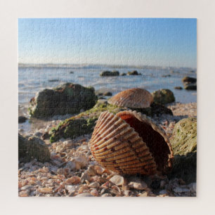 Seashell op het strand legpuzzel