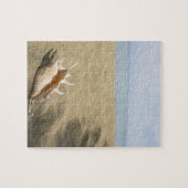 Seashell op zandig strand legpuzzel (Horizontaal)