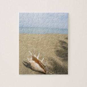 Seashell op zandig strand legpuzzel