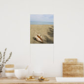 Seashell op zandig strand poster (Keuken)