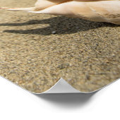 Seashell op zandig strand poster (Hoek)