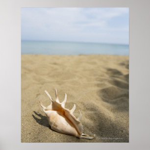 Seashell op zandig strand poster
