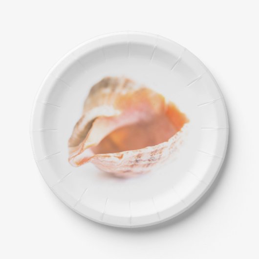 Seashell Papieren Bordje (Voorkant)