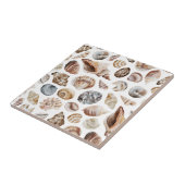 Seashell-patroon Tegeltje (Zijkant)