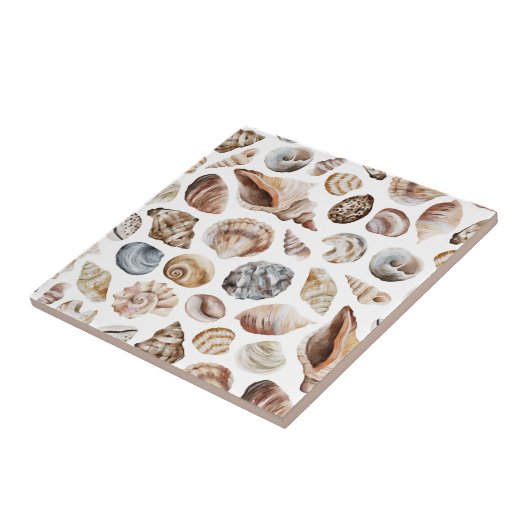 Seashell-patroon Tegeltje (Zijkant)