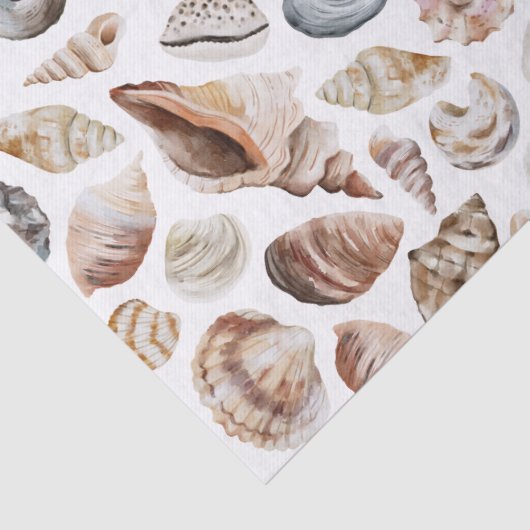 Seashell-patroon Tissuepapier (Detail)