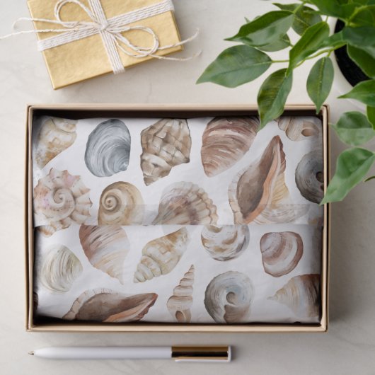 Seashell-patroon Tissuepapier (Geschenk)