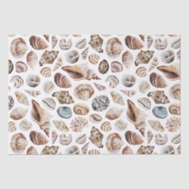 Seashell-patroon Tissuepapier
