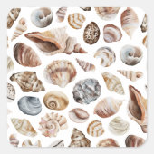 Seashell-patroon Vierkante Sticker (Voorkant)