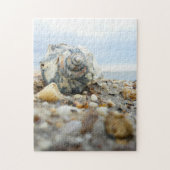 Seashell & Pebbles Legpuzzel (Verticaal)